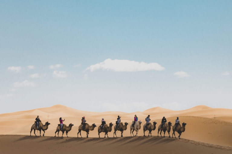 Top Things to Do in Doha: Culture, Desert Safaris, and Skyline Views