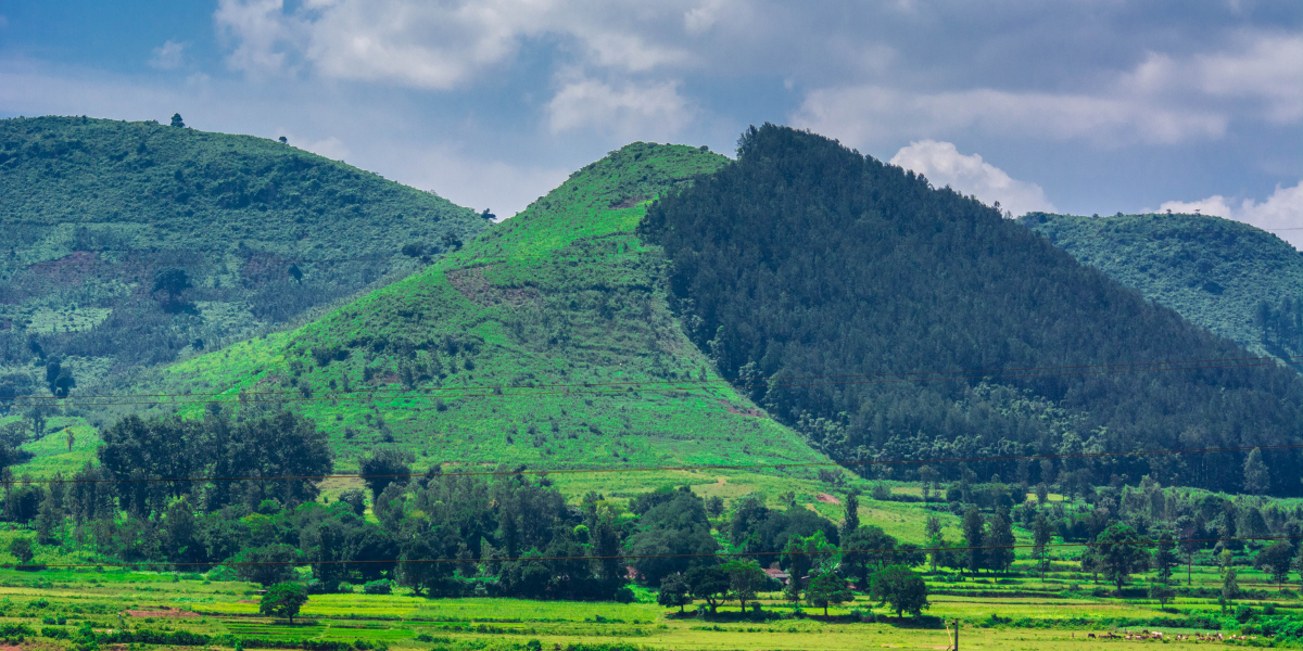 Andhra Pradesh