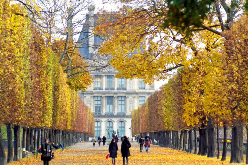 France in the Fall: Why Autumn Might Be the Best Time to Visit