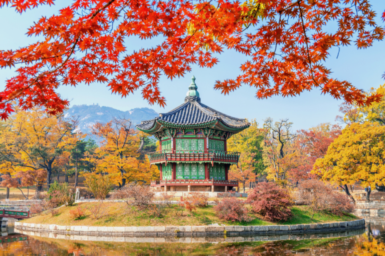 A First-Timer’s Guide to South Korea: What to Know Before You Go