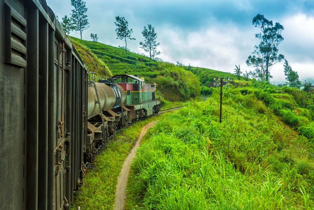 Is Sri Lanka Expensive to Visit in 2025? Complete Budget Breakdown