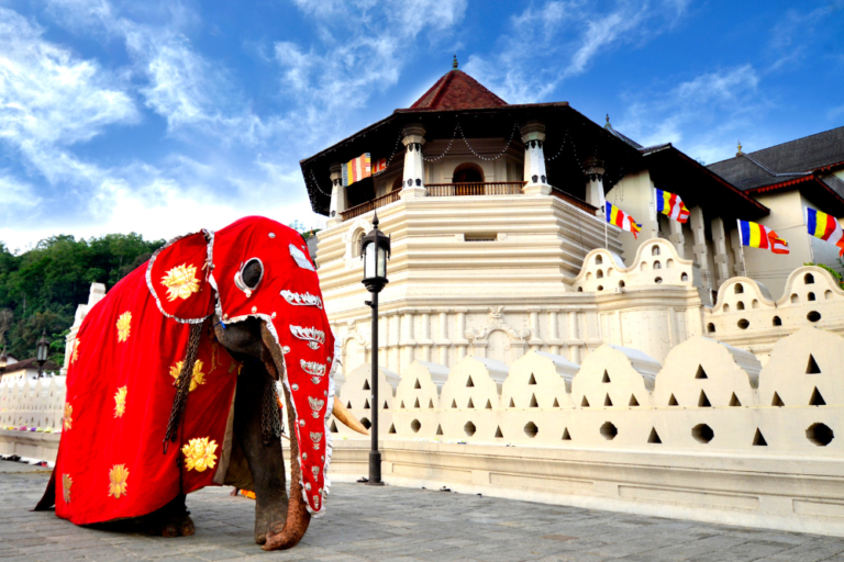 Exploring the Spiritual Side of Sri Lanka: Temples, Ayurveda & Yoga Retreats