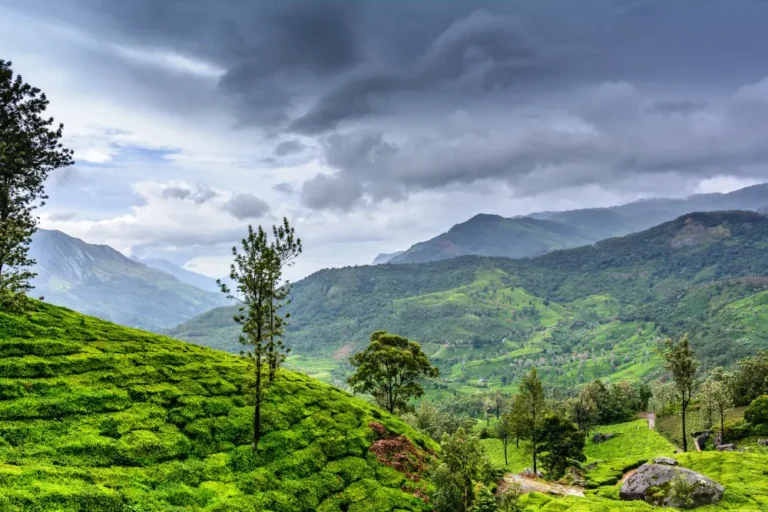 The Best Time to Visit Kerala: A Seasonal Travel Guide